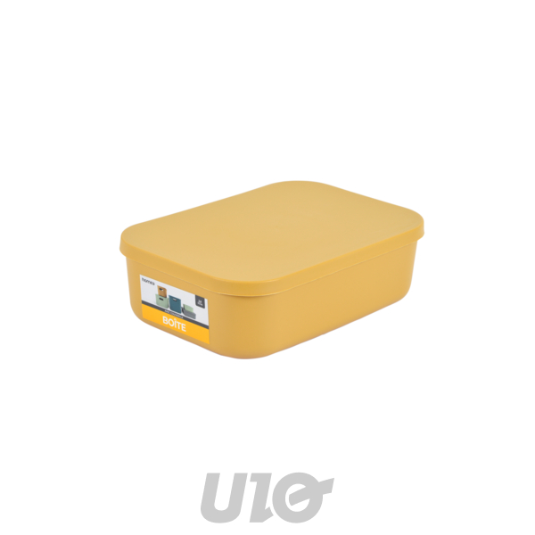 BOITE AVEC COUVERCLE PLASTIQUE 2,5L 24.5*18*H.8CM OCRE