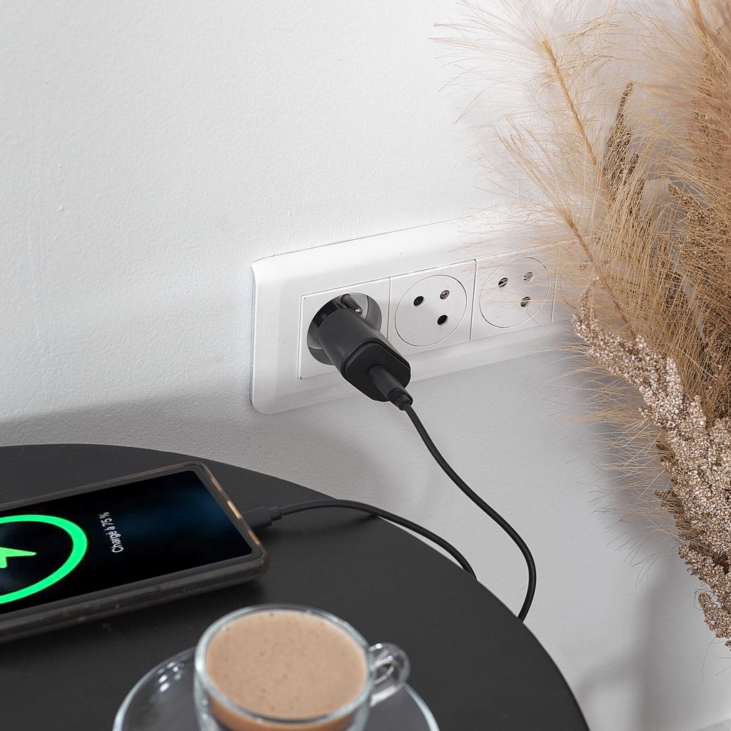 CHARGEUR SECTEUR 1PORT USB 1A M12