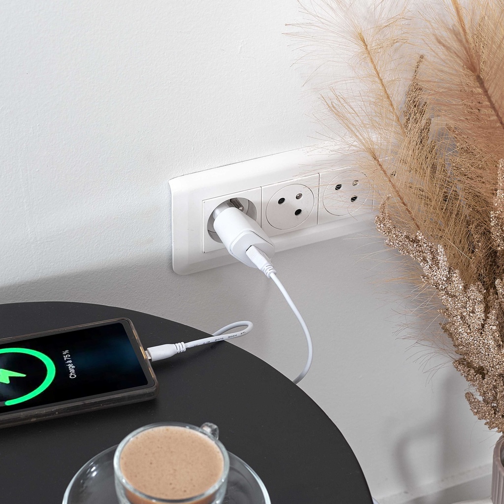 CHARGEUR SECTEUR 1PORT USB 1A M12