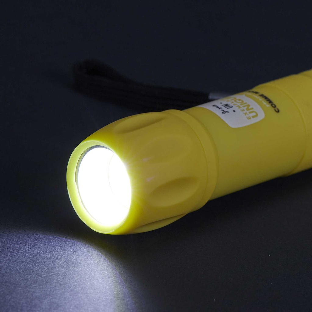 LAMPE TORCHE COB M48