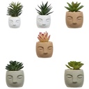 PLANTE G VISAGE TERI H13