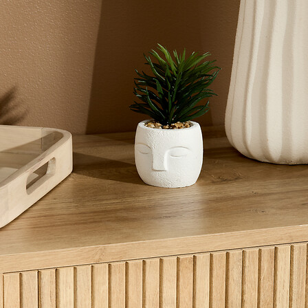 PLANTE G VISAGE TERI H13