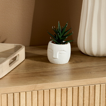 PLANTE G VISAGE TERI H13