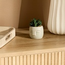 PLANTE G VISAGE TERI H13