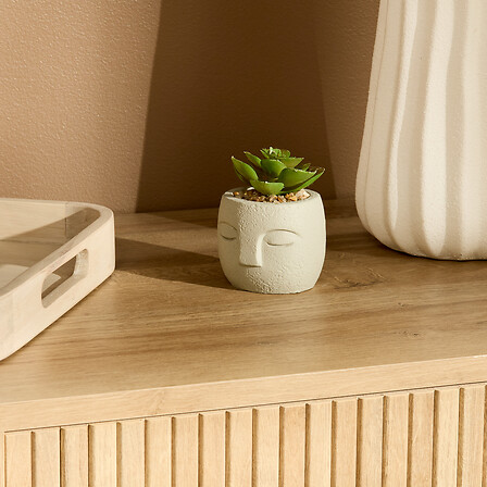 PLANTE G VISAGE TERI H13