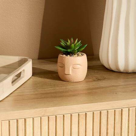 PLANTE G VISAGE TERI H13