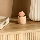 PLANTE G VISAGE TERI H13