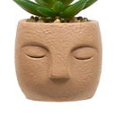 PLANTE G VISAGE TERI H13