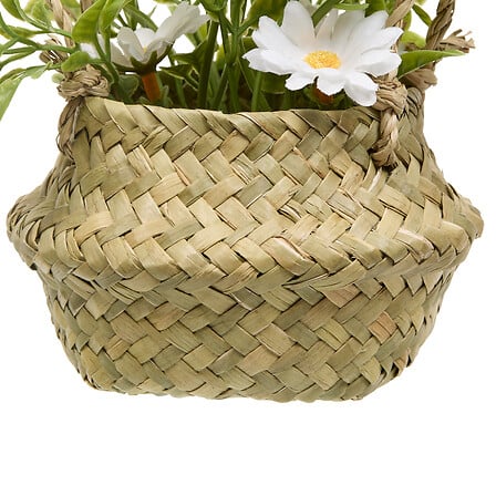 COMPO MARGUERITE TIFI H20