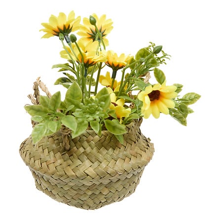 COMPO MARGUERITE TIFI H20