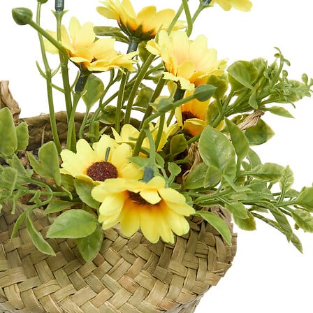 COMPO MARGUERITE TIFI H20