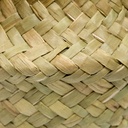 COMPO MARGUERITE TIFI H20