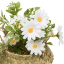 COMPO MARGUERITE TIFI H20