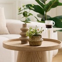 COMPO MARGUERITE TIFI H20