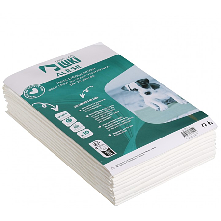 10 TAPIS D'EDUCATION 60X90 CM 