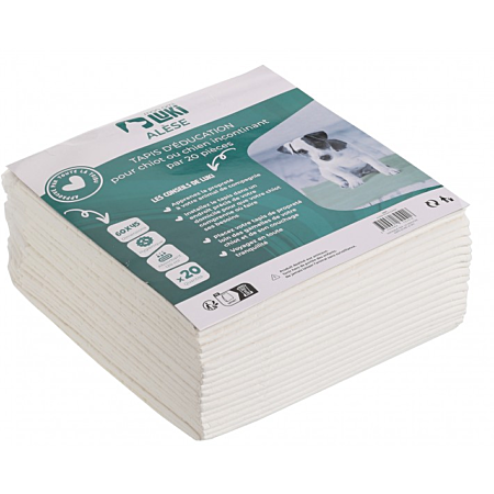 20 TAPIS D'EDUCATION 60X45 CM