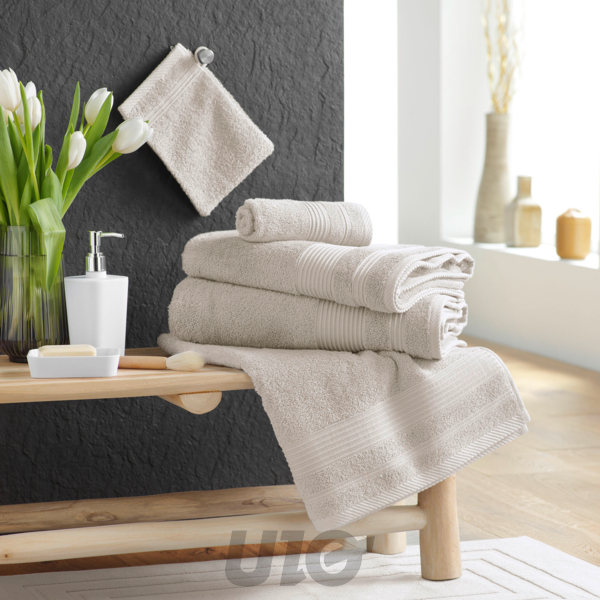 2 GANTS DE TOILETTE 15 x 21 CM EPONGE UNIE TENDRESSE LIN