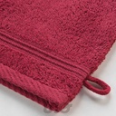 2 GANTS DE TOILETTE 15 x 21 CM EPONGE UNIE TENDRESSE RUBIS
