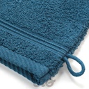 2 GANTS DE TOILETTE 15 x 21 CM EPONGE UNIE TENDRESSE SAPHIR