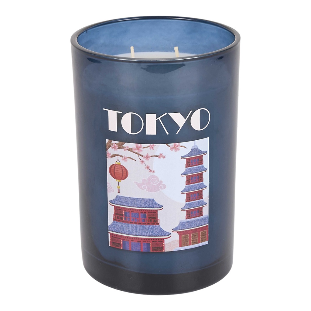 BOUGIE PARFUMEE VERRE H14.5CM VOYAGE M4