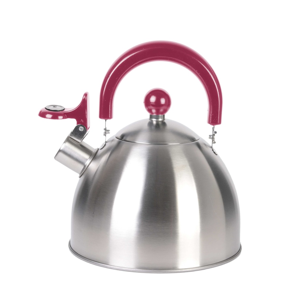 BOUILLOIRE INOX TOUS FEUX 1.5L M12