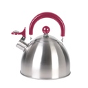 BOUILLOIRE INOX TOUS FEUX 1.5L M12