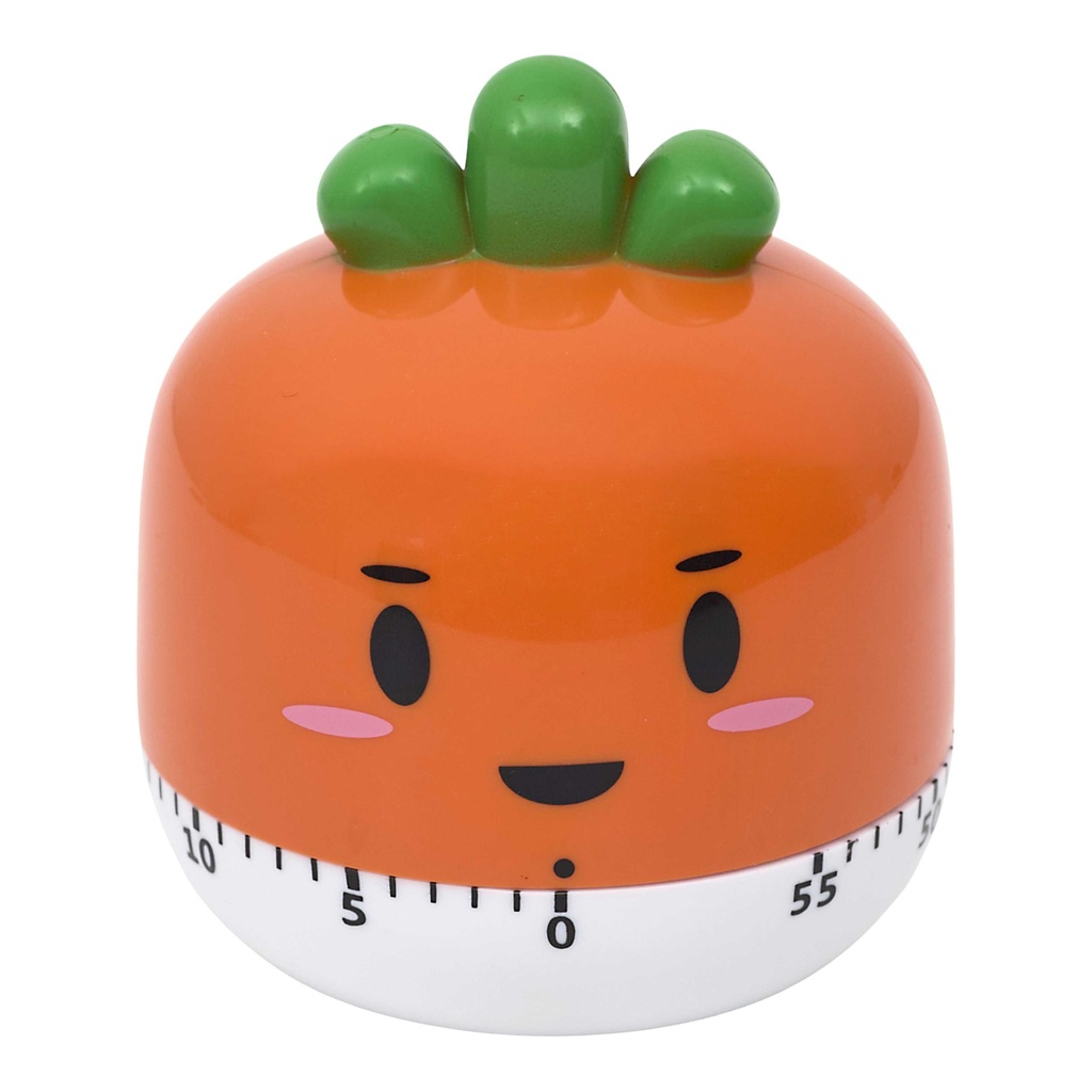 MINUTEUR LEGUMES M18