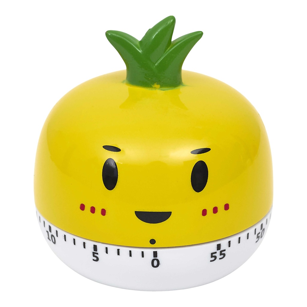 MINUTEUR LEGUMES M18