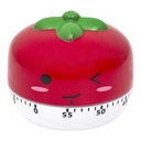 MINUTEUR LEGUMES M18