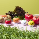 MINUTEUR LEGUMES M18