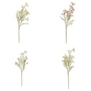 TIGE COSMOS PHOEBE H62