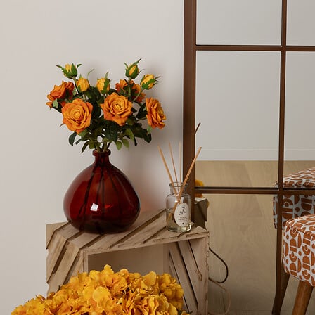 TIGE ROSE DEGRADE JAMES H46