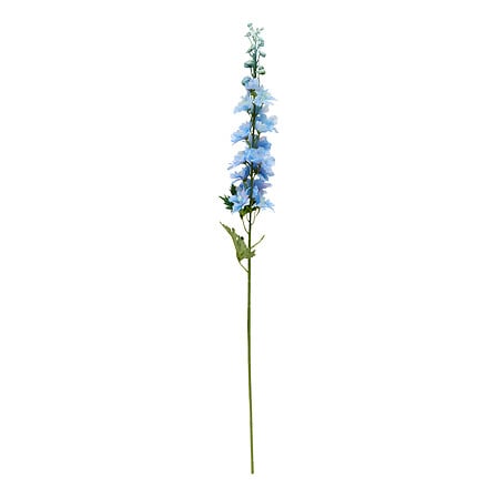 TIGE DELPHINIUM PHOEBE H79