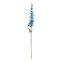 TIGE DELPHINIUM PHOEBE H79