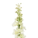 TIGE DELPHINIUM PHOEBE H79