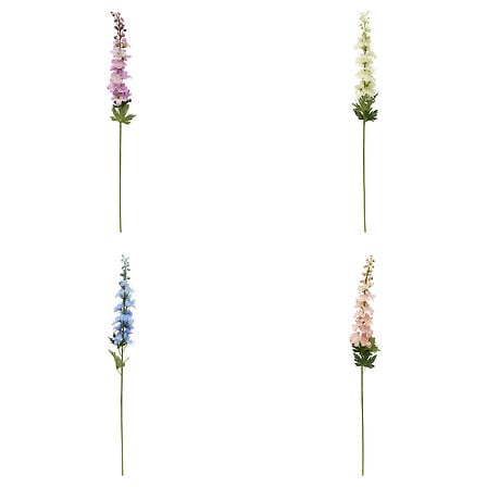 TIGE DELPHINIUM PHOEBE H79