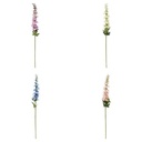 TIGE DELPHINIUM PHOEBE H79