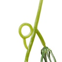 GUIRLANDE FLEUR MYRI H180