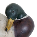 CANARD RSN VITTO L28,5 OUTDR