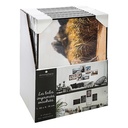 TOILE IMP BIANCA 50X70 ASS DIS