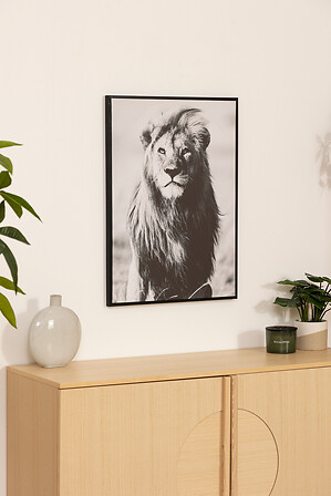 TOILE IMP BIANCA 50X70 ASS DIS