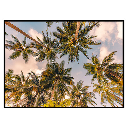 TOILE IMP BIANCA 50X70 ASS DIS