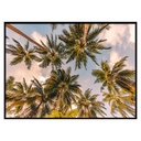 TOILE IMP BIANCA 50X70 ASS DIS