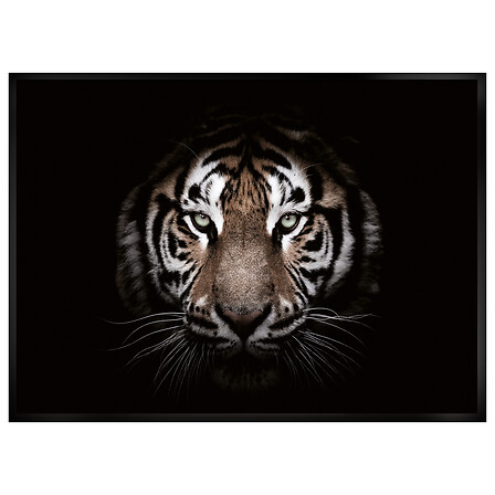 TOILE IMP BIANCA 50X70 ASS DIS