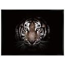 TOILE IMP BIANCA 50X70 ASS DIS