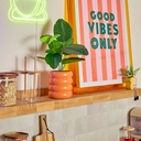 BGE PFM CRMQ POOL CIT 850G