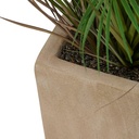 PALMIER POT CRMQ WONJ H142