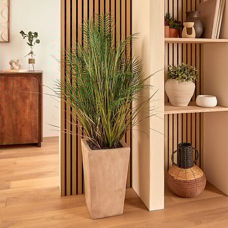 PALMIER POT CRMQ WONJ H142