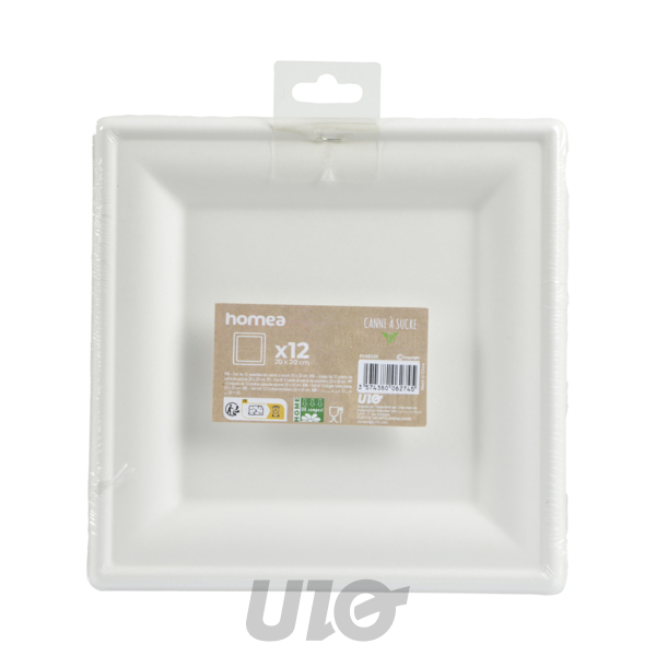 SET DE 12 ASSIETTES CARREES EN CANNE A SUCRE 20CM BLANC