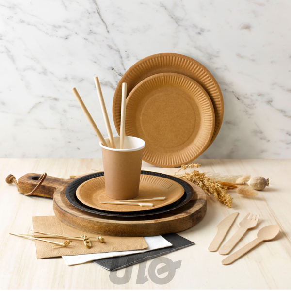 SET DE 12 FOURCHETTES EN BOIS H16CM